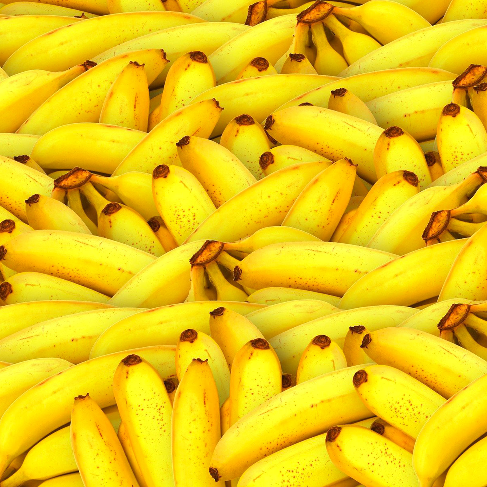 11×14 – Assassins… ma quanto costano le banane a Hillian?